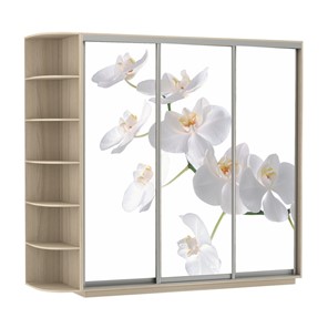 Шкаф 3-х дверный Экспресс со стеллажом, 2100х600х2200, Орхидея белая/шимо светлый в Шадринске