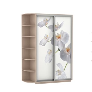 Шкаф 2-х дверный Экспресс 1700x600x2200, со стеллажом, Орхидея белая/дуб молочный в Шадринске