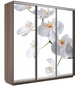 Шкаф 3-створчатый Экспресс 2100х600х2200, Орхидея белая/шимо темный в Шадринске