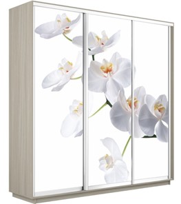 Шкаф 3-створчатый Экспресс 2400х600х2400, Орхидея белая/шимо светлый в Кургане