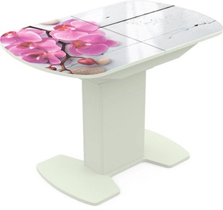 Кухонный стол раскладной Корсика исп. 2 Фотопечать (Цветы №24) 1200(1515)*800 в Шадринске