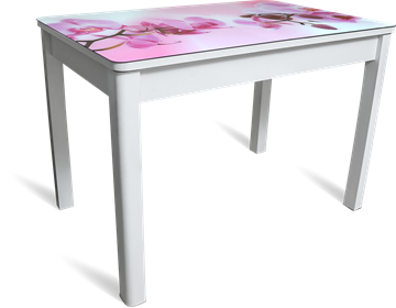 Кухонный стол раскладной Айсберг-01 СТФ, белое лдсп/орхидея/40 прямые массив белые в Шадринске