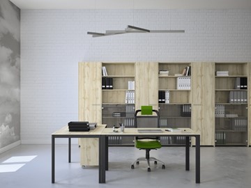 Комплект офисной мебели Экспро Саньяна в Шадринске