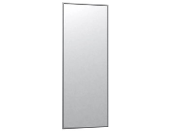 Настенное зеркало в спальню Сельетта-6 матовое серебро (1100х400х9) в Шадринске