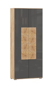 Шкаф двухстворчатый Фиджи с декоративными накладками 659.310, Дуб Золотой/Антрацит в Кургане