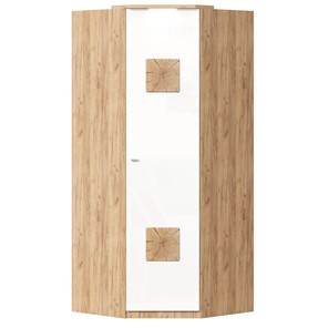 Шкаф угловой 45 с декоративной накладкой Фиджи, 659.248, белый в Шадринске