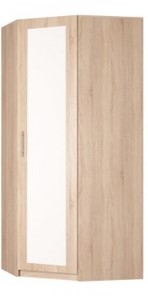Угловой шкаф распашной Реал (YR-230х884 (9)-М Вар.1), с зеркалом в Шадринске - предосмотр