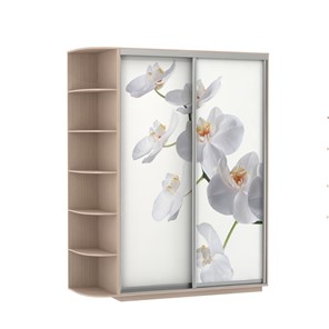 Шкаф 2-створчатый Экспресс 1900x600x2200, со стеллажом, Орхидея белая/дуб молочный в Шадринске