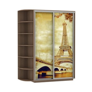 Шкаф 2-дверный Экспресс 1700x600x2200, со стеллажом, Париж/шимо темный в Шадринске