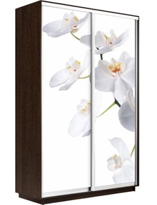 Шкаф 2-дверный Экспресс 1400x600x2400, Орхидея белая/венге в Шадринске