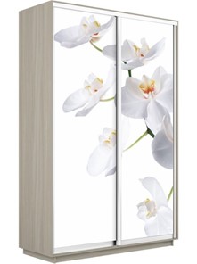 Шкаф Экспресс 1600x450x2200, Орхидея белая/шимо светлый в Кургане
