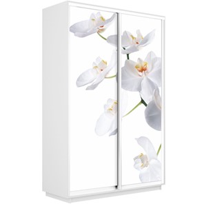 Шкаф двухдверный Экспресс 1600x450x2400, Орхидея белая/белый снег в Кургане