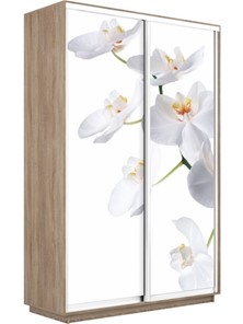 Шкаф 2-дверный Экспресс 1600x450x2400, Орхидея белая/дуб сонома в Шадринске