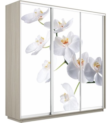 Шкаф Экспресс 1800х600х2200, Орхидея белая/шимо светлый в Шадринске - изображение