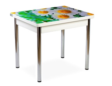 Кухонный пристенный стол СПА-02 СТФ, белый/фотопечать ромашки/опоры хром в Кургане