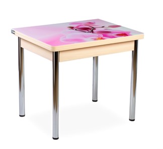 Кухонный пристенный стол СПА-02 СТФ, молочный дуб/фотопечать орхидея/опоры хром в Кургане