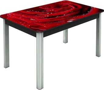 Кухонный стол раздвижной Гамбург исп. Мини, ноги метал. крашеные №23, Фотопечать (Цветы №39) в Кургане