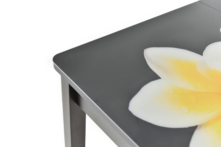 Кухонный раскладной стол Гамбург исп.1 ноги метал. крашеные №23, Фотопечать (Текстура №26) в Кургане - изображение 8