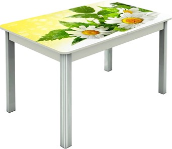 Кухонный раздвижной стол Гамбург исп.2 ноги метал. крашеные №23, Фотопечать (Цветы №3) в Кургане