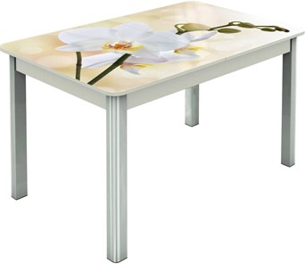 Кухонный стол раскладной Гамбург исп.2 ноги метал. крашеные №23, Фотопечать (Цветы №5) в Шадринске