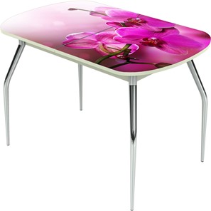Кухонный раскладной стол Ривьера исп.1 ноги метал. крашеные №24 Фотопечать (Цветы №16) в Кургане