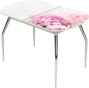 Кухонный стол раздвижной Ривьера исп.1 ноги метал. крашеные №24 Фотопечать (Цветы №49) в Кургане