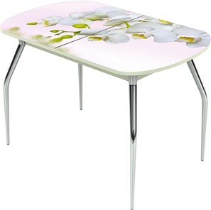 Кухонный стол раздвижной Ривьера исп.1 ноги метал. крашеные №24 Фотопечать (Цветы №7) в Кургане