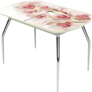 Кухонный раздвижной стол Ривьера исп.1 ноги метал. крашеные №24 Фотопечать (Цветы №8) в Кургане