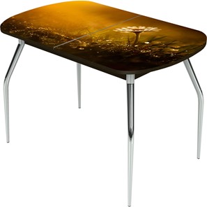 Раздвижной стол Ривьера исп.2 ноги метал. крашеные №24 Фотопечать (Цветы №43) в Шадринске