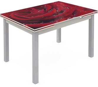 Кухонный стол раздвижной Шанхай исп. 2, ноги метал. крашеные №21 Фотопечать (Цветы №39) в Кургане
