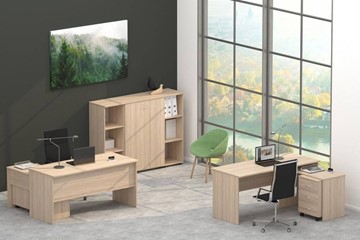 Комплект офисной мебели Twin в Шадринске - предосмотр 4