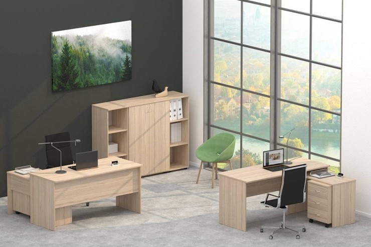Комплект офисной мебели Twin в Шадринске - изображение 4