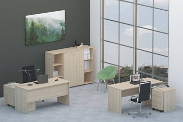 Набор мебели в офис Twin для 2 сотрудников со шкафом для документов в Шадринске - предосмотр