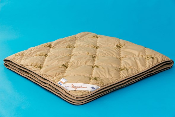 Одеяло всесезонное двуспальное Караван в Шадринске - изображение