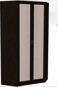 Шкаф 403 несимметричный, цвет Венге в Кургане - предосмотр