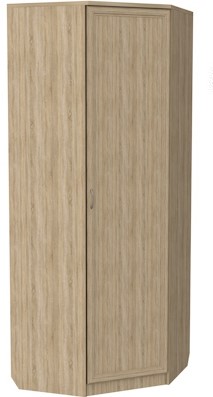 Шкаф распашной 400 угловой, цвет Дуб Сонома в Шадринске - изображение