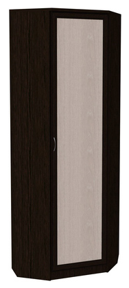 Шкаф 402 угловой со штангой, цвет Венге в Шадринске - изображение
