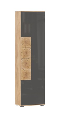 Шкаф одностворчатый Фиджи с декоративными накладками 659.300, Дуб Золотой/Антрацит в Шадринске - изображение