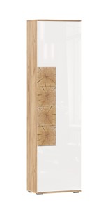 Шкаф одностворчатый Фиджи с декоративными накладками 659.300, Дуб Золотой/Белый в Шадринске