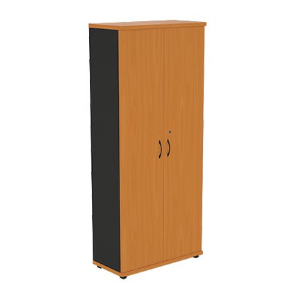 Шкаф для одежды Моно-Люкс R5S05 в Шадринске - изображение