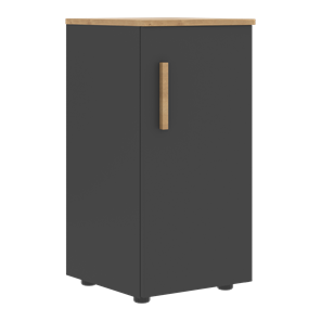 Шкаф колонна низкий с глухой правой дверью FORTA Графит-Дуб Гамильтон  FLC 40.1 (R) (399х404х801) в Шадринске
