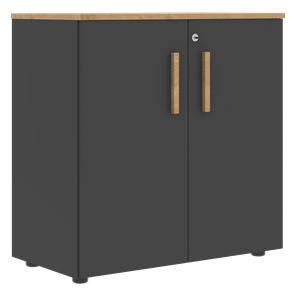 Низкий шкаф с малыми дверцами широкий FORTA Графит-Дуб Гамильтон  FLC 80.1(Z) (798х404х801) в Шадринске