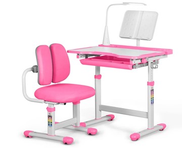 Комплект из растущего стола и кресла Mealux EVO BD-23 Pink в Шадринске