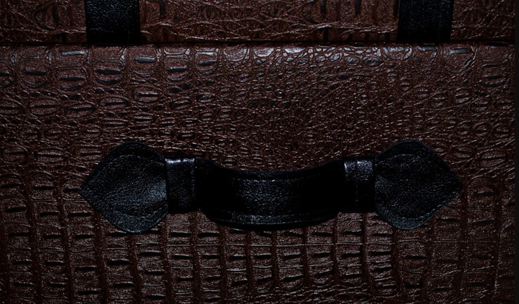 Пуф-сундук "Аллигатор" коричневый, иск. кожа в Кургане - изображение 4